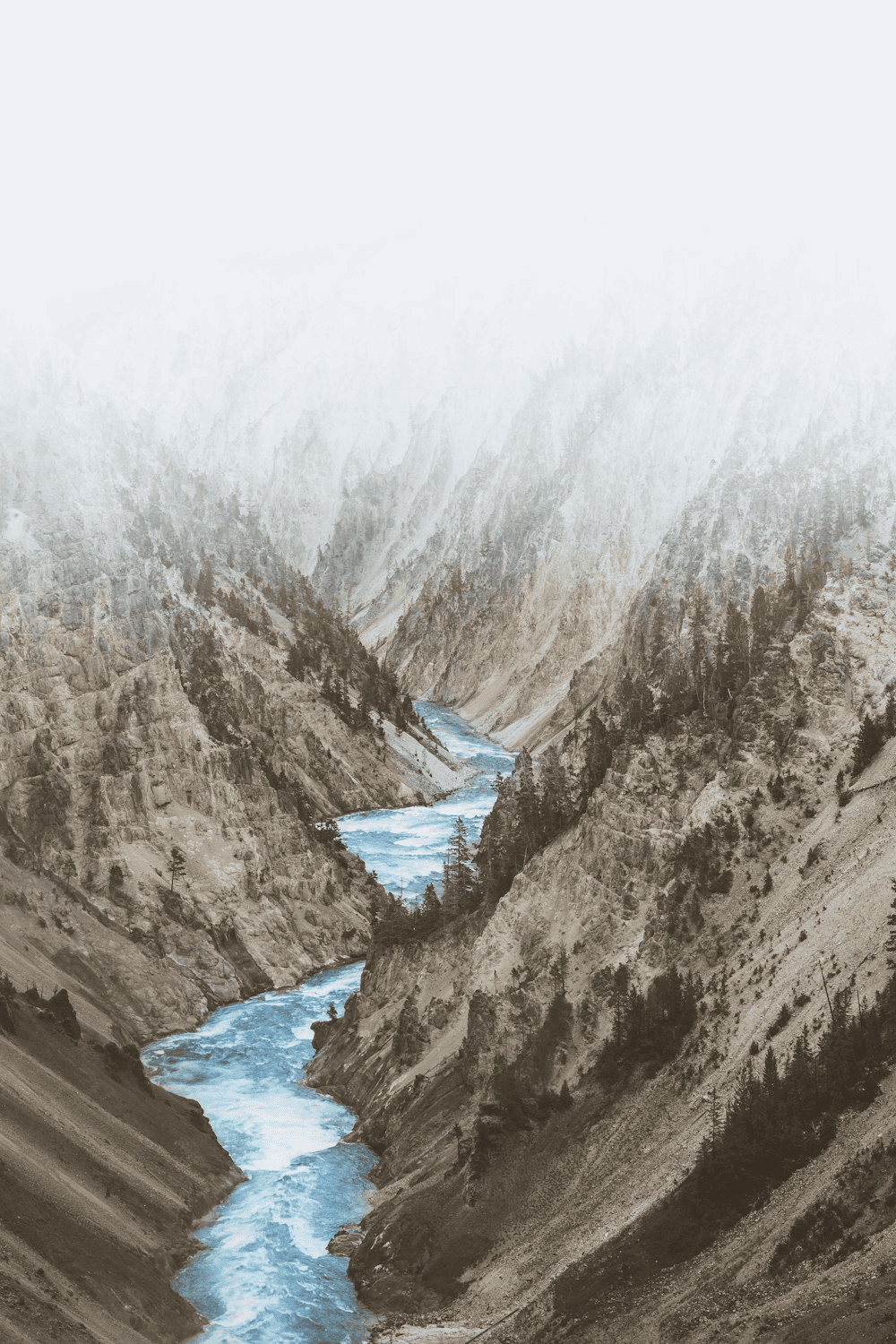 Image 20